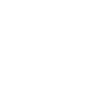 DF ITALIA